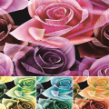 /msite/products/detail/productid/57181114/id/666434.html